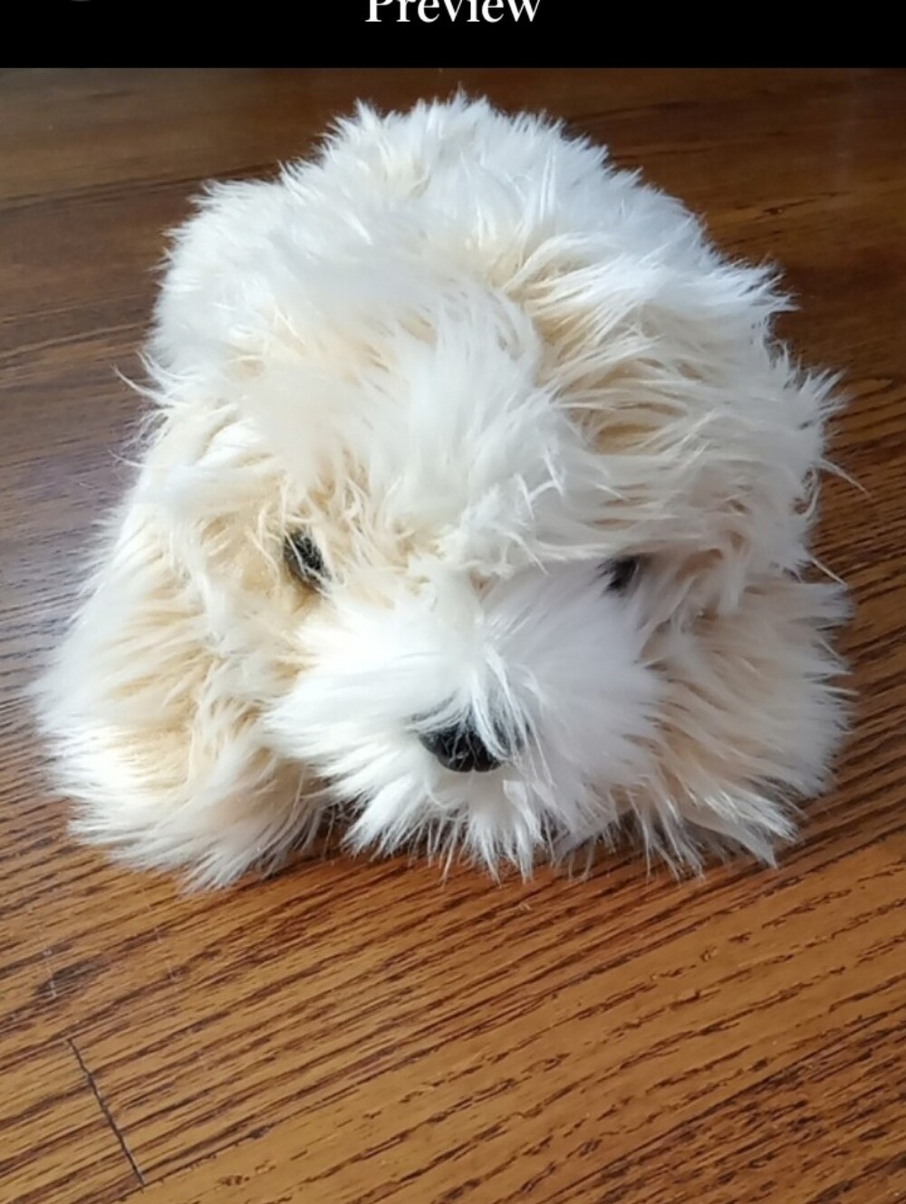 TY 2001 Jenkins Fuzzy Dog 13.5" - Picture 10 of 10
